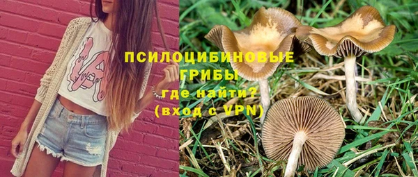 молекула духа Абинск