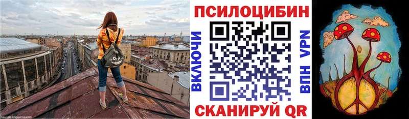 где купить   Сергач  Псилоцибиновые грибы Psilocybine cubensis 
